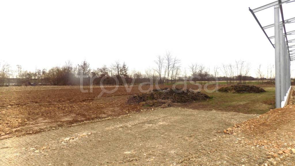 immagine annuncio 6 di 9