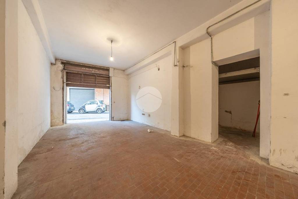 immagine annuncio 9 di 14