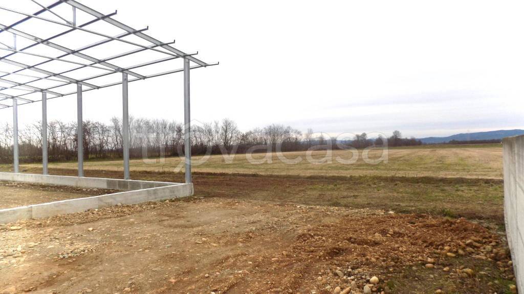 immagine annuncio 7 di 9