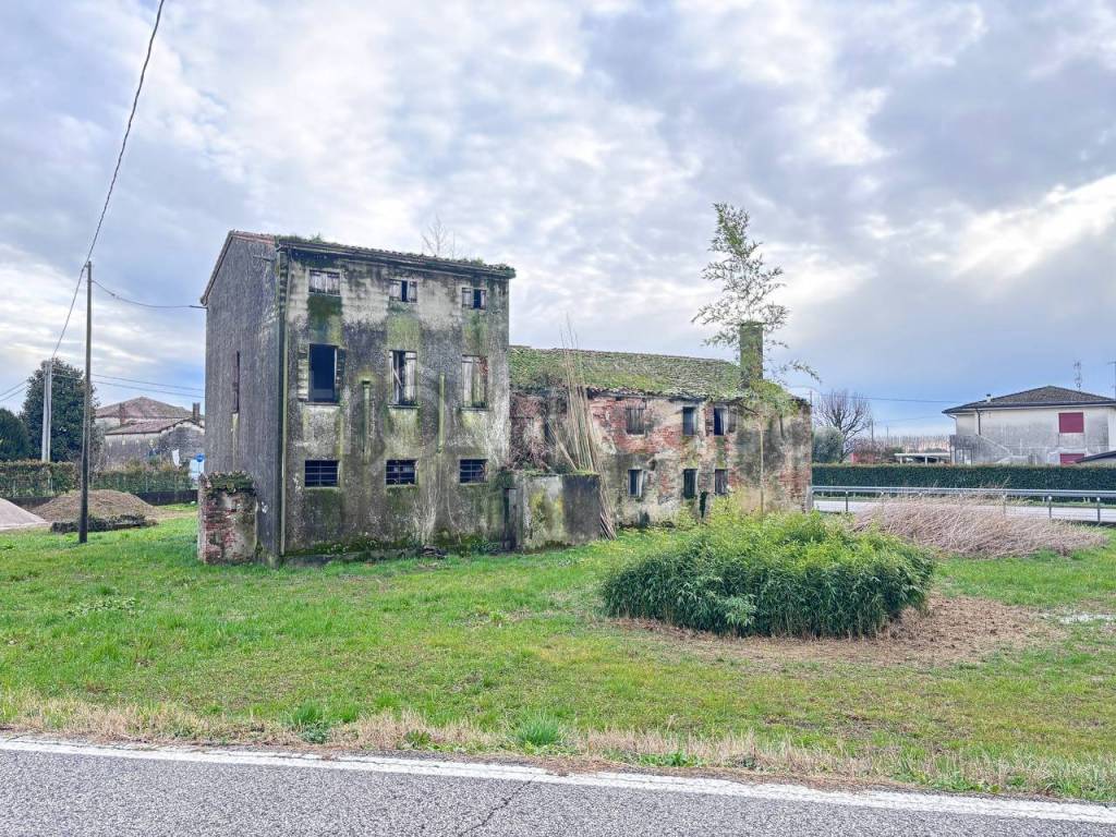 immagine annuncio 3 di 6