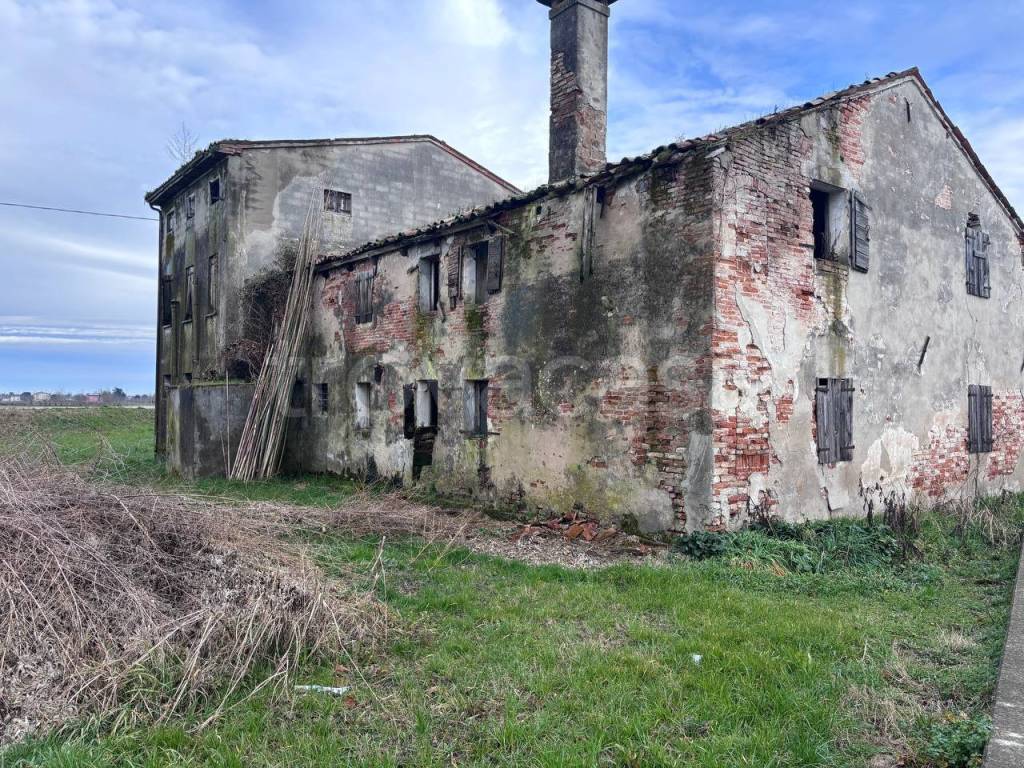 immagine annuncio 4 di 6