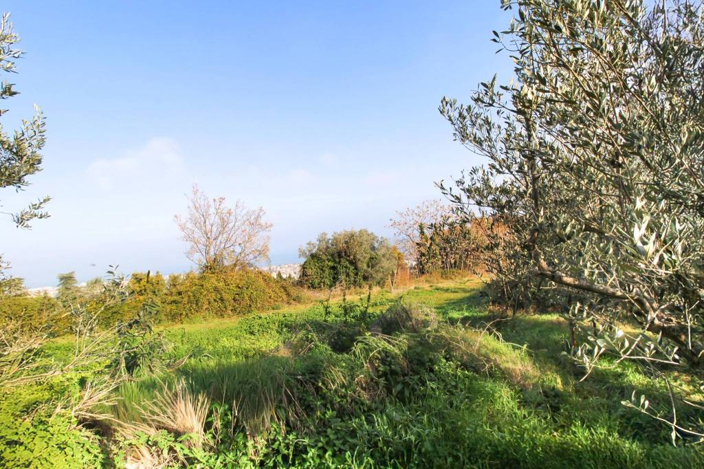 immagine annuncio 7 di 12