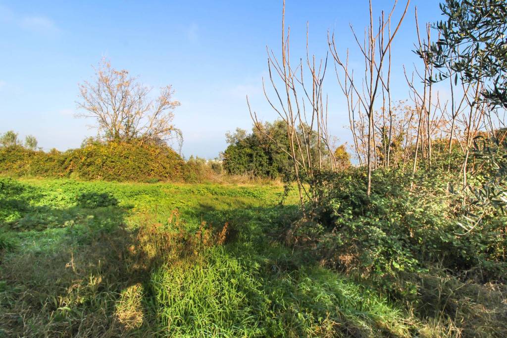 immagine annuncio 11 di 12