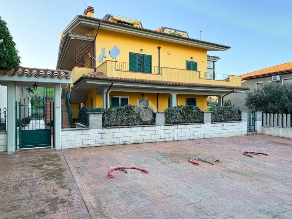 immagine annuncio 12 di 13