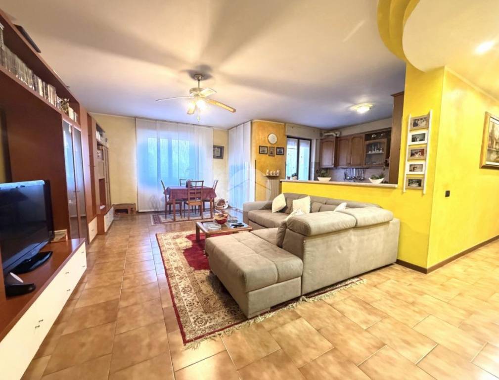 immagine annuncio 10 di 15