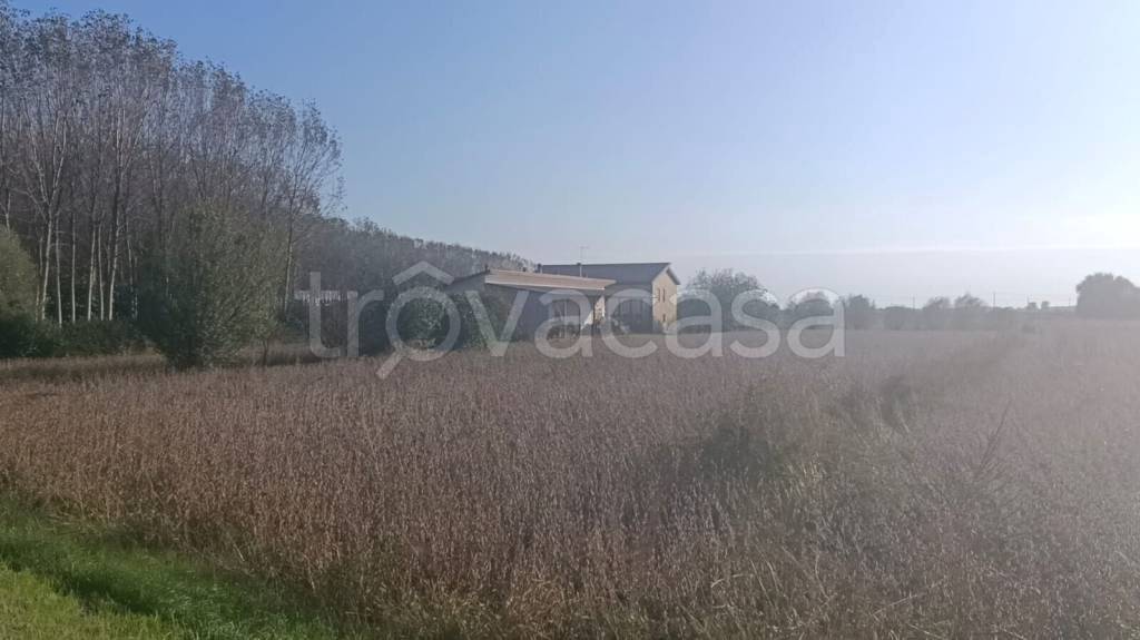 immagine annuncio 6 di 8