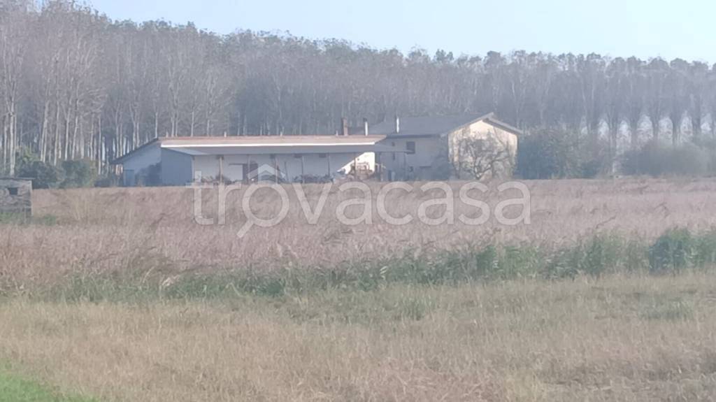 immagine annuncio 7 di 8