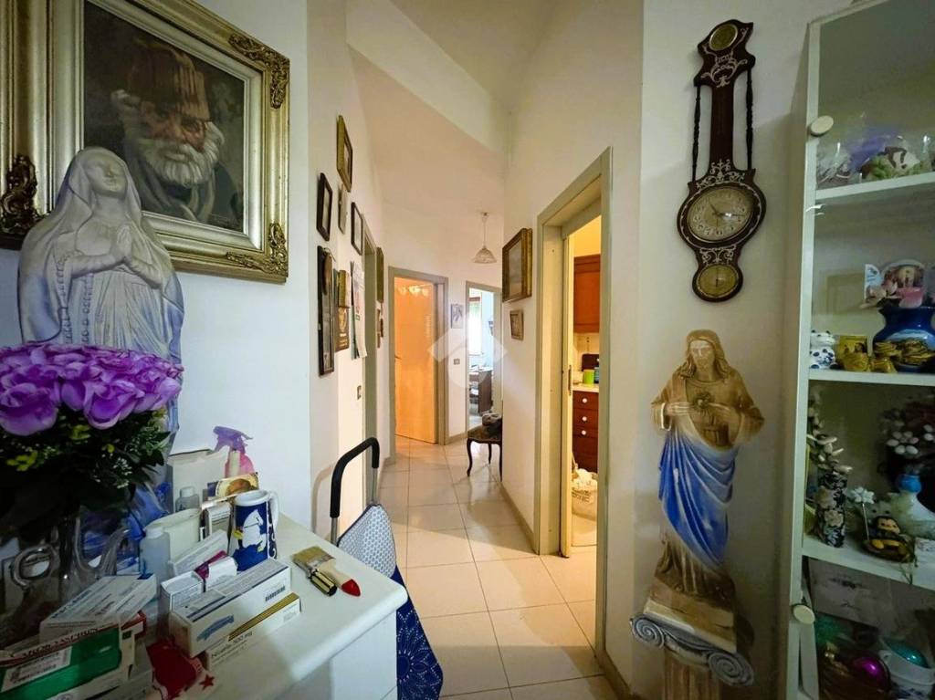 immagine annuncio 5 di 14