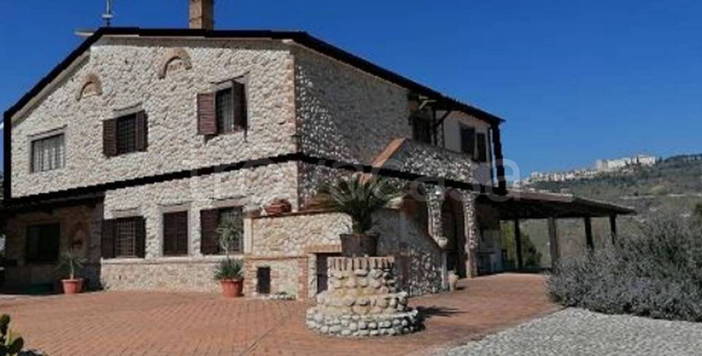 immagine annuncio 10 di 11