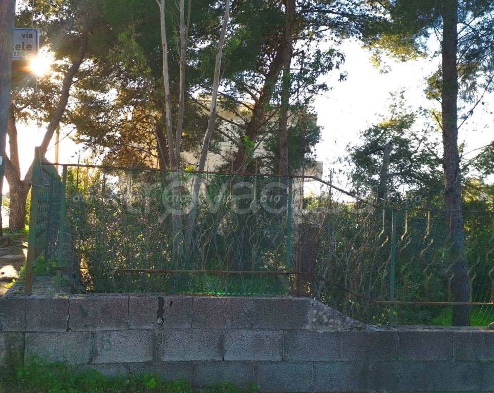 immagine annuncio 1 di 8