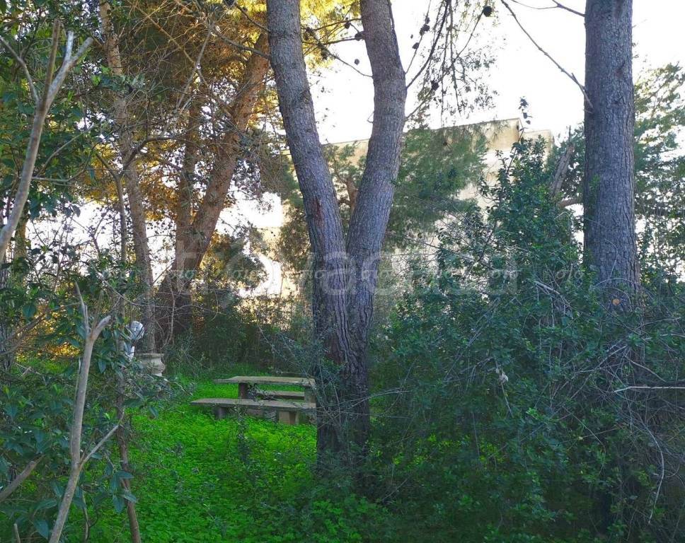 immagine annuncio 2 di 8