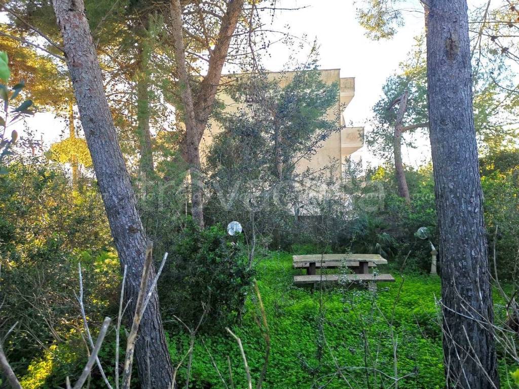 immagine annuncio 3 di 8