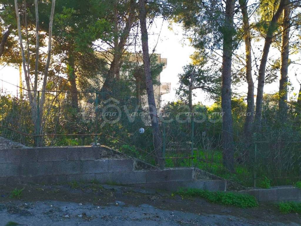 immagine annuncio 4 di 8