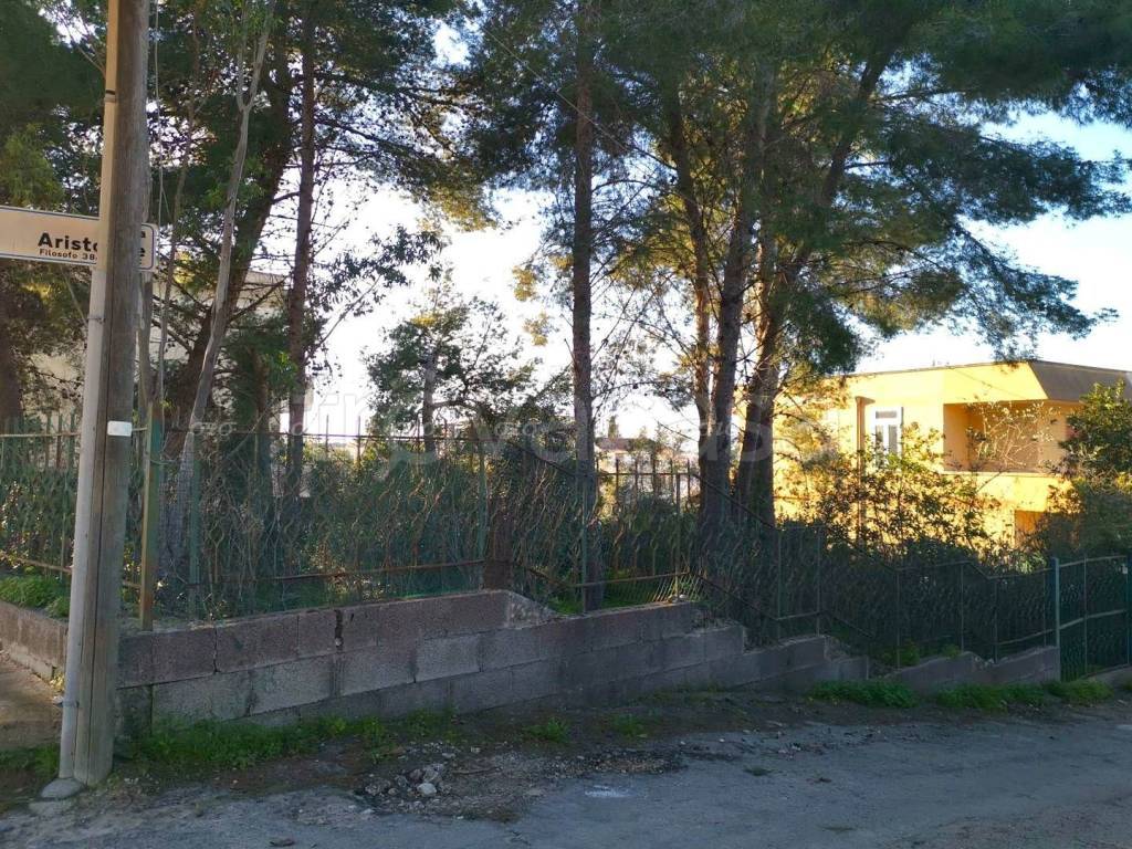 immagine annuncio 5 di 8