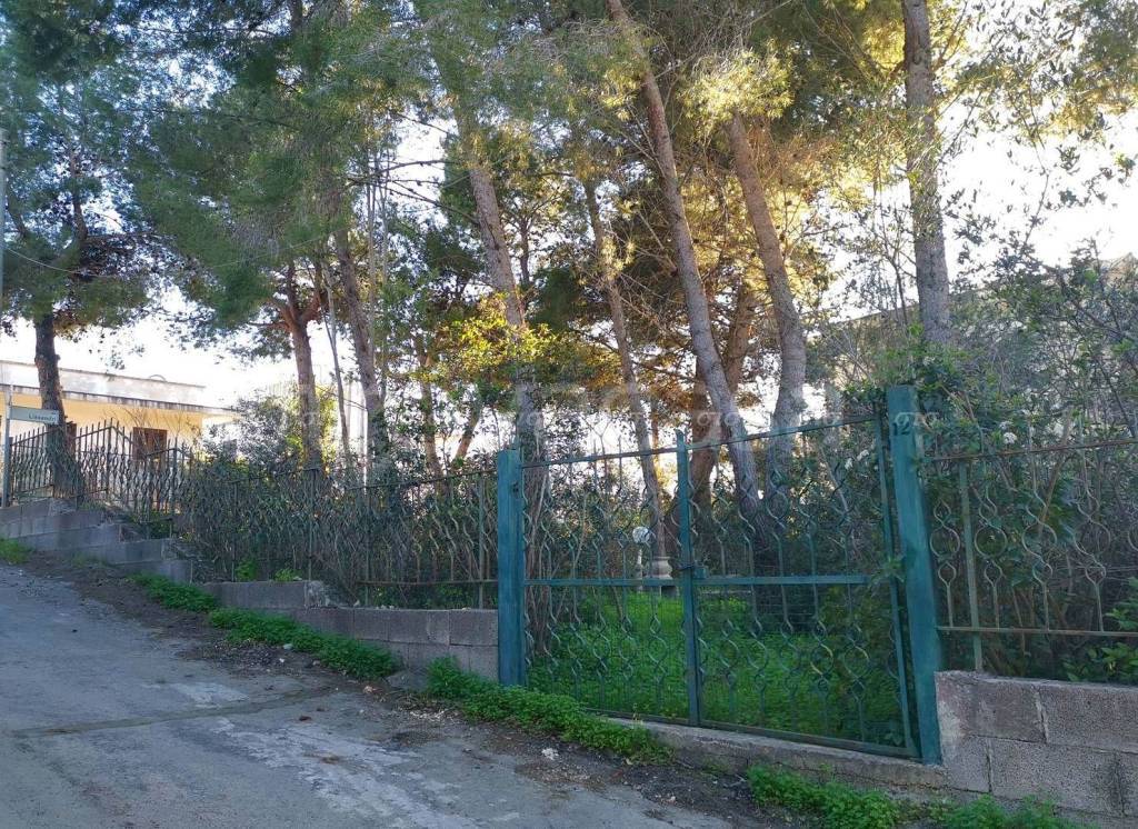 immagine annuncio 6 di 8