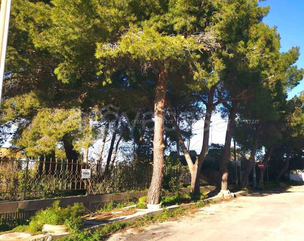 immagine annuncio 7 di 8