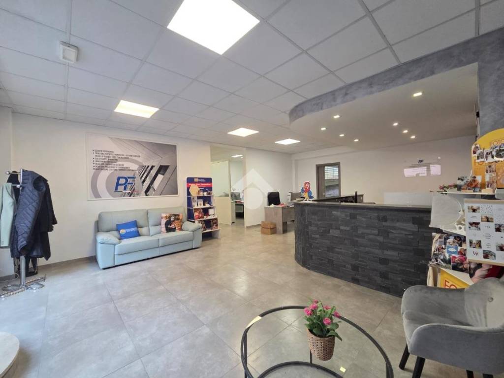 immagine annuncio 5 di 15