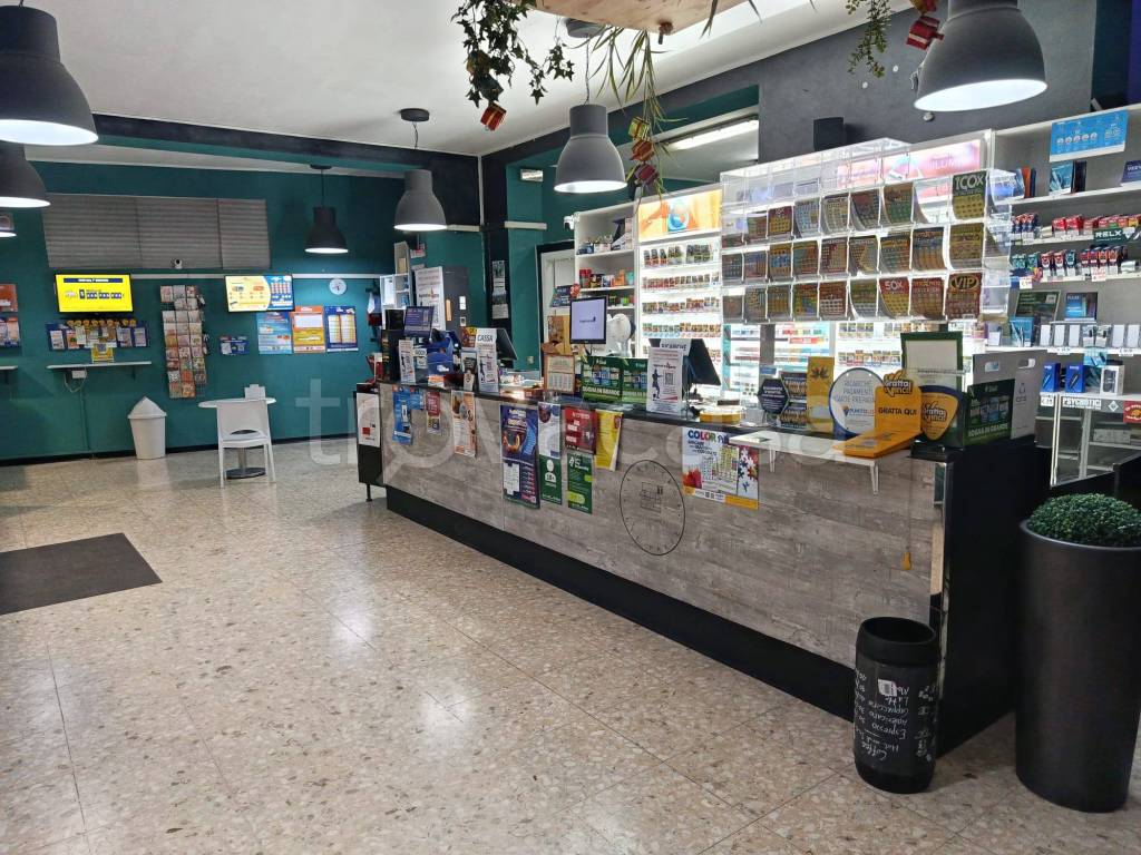 immagine annuncio 12 di 13