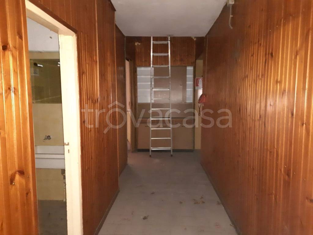 immagine annuncio 5 di 14