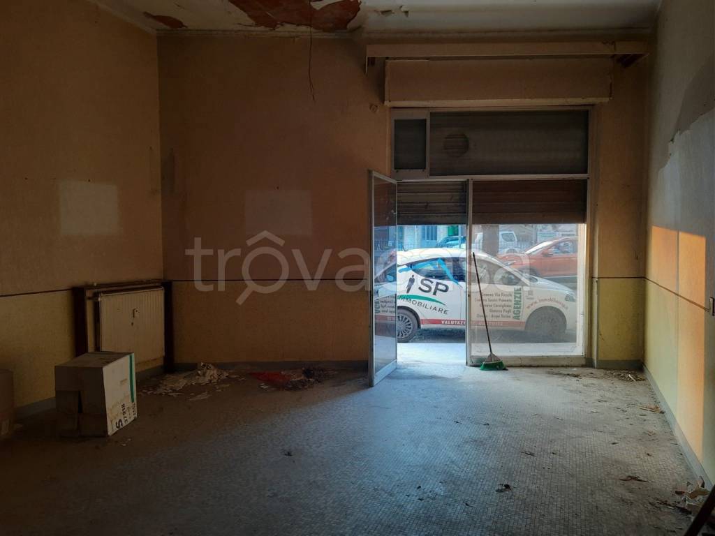 immagine annuncio 12 di 14