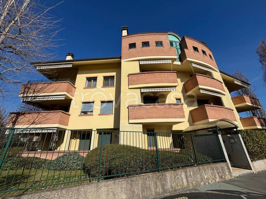 immagine annuncio 3 di 15