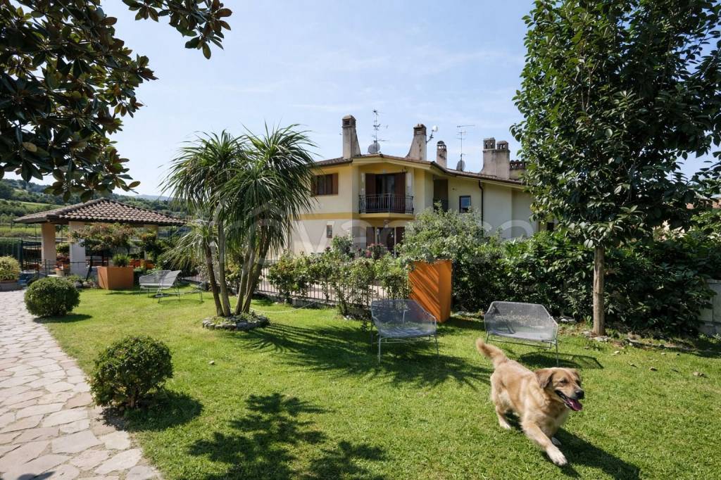 immagine annuncio 7 di 15