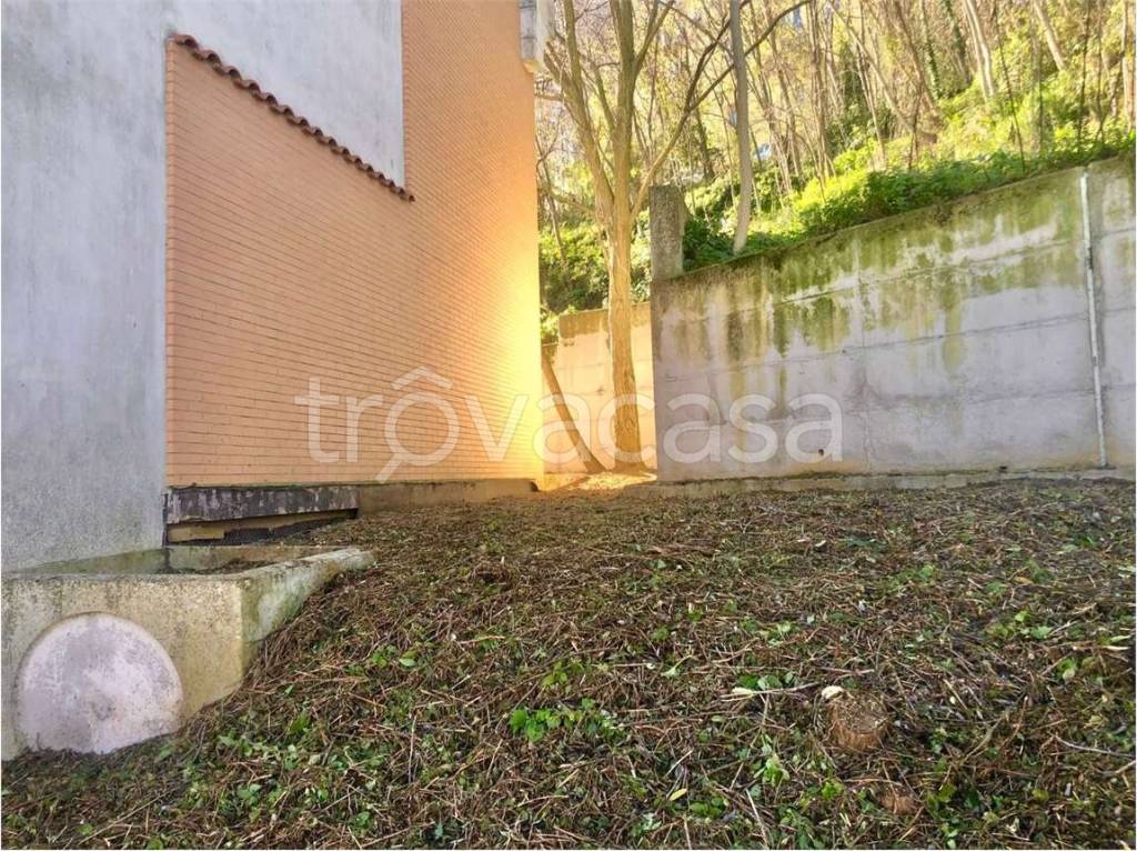 immagine annuncio 1 di 8