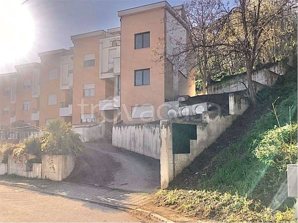 immagine annuncio 3 di 8