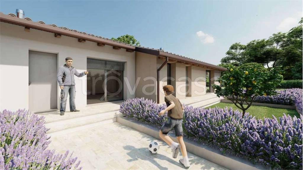 immagine annuncio 8 di 15