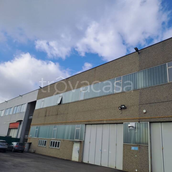 immagine annuncio 2 di 15