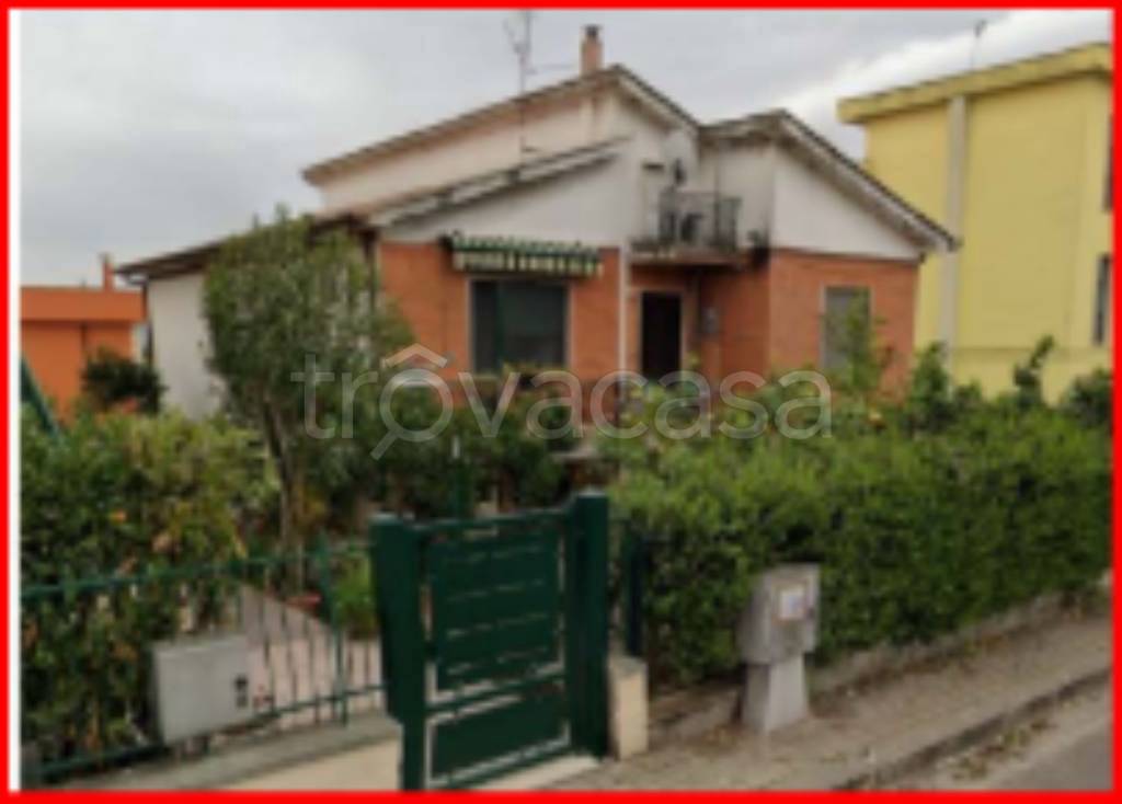 immagine annuncio 1 di 13