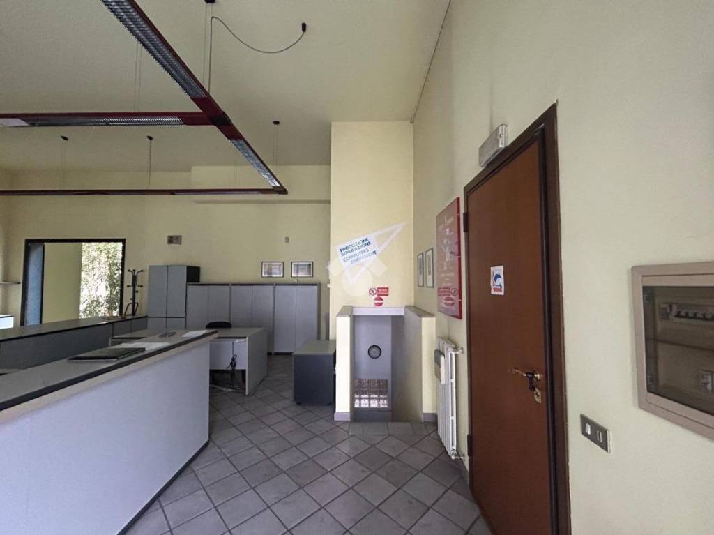 immagine annuncio 6 di 13