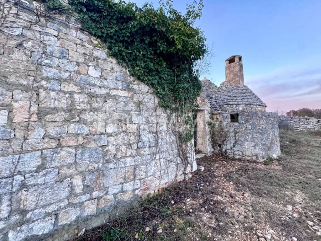 immagine annuncio 7 di 14