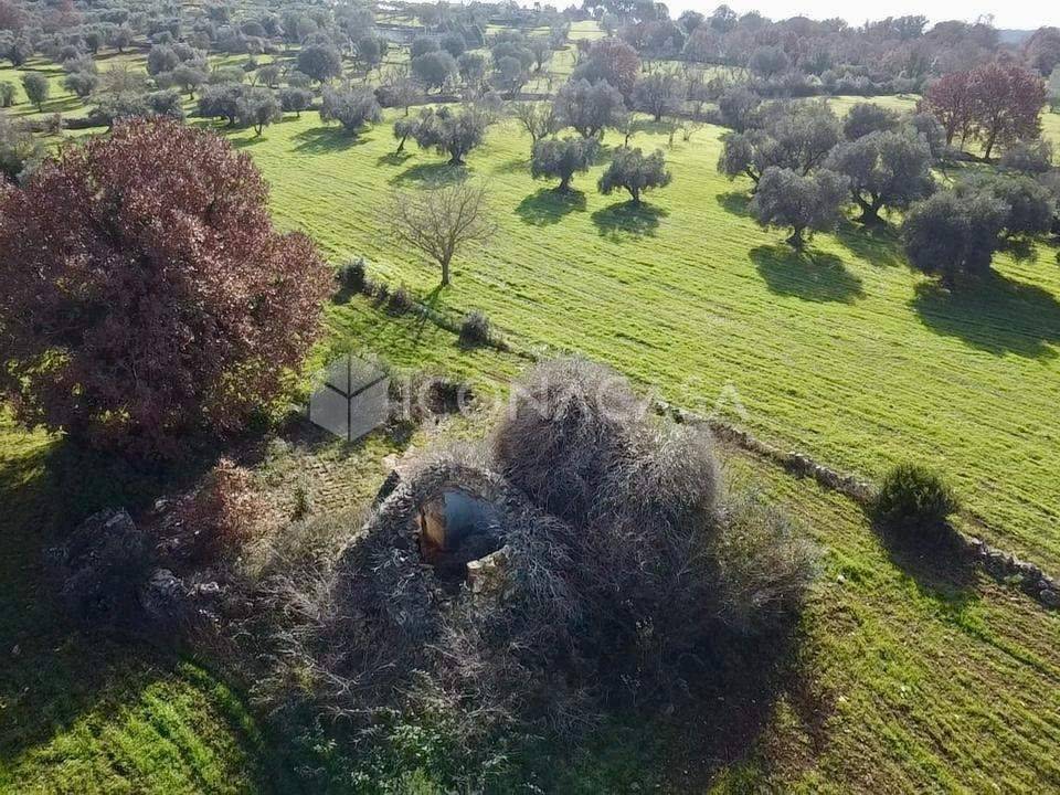 immagine annuncio 8 di 14