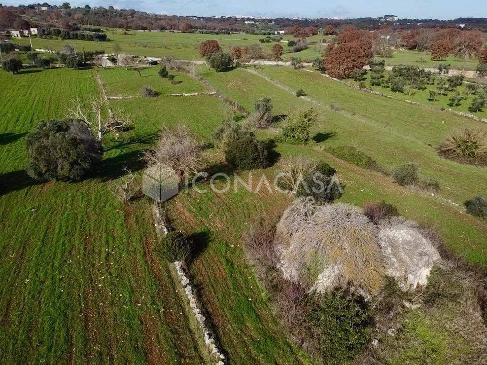 immagine annuncio 9 di 14