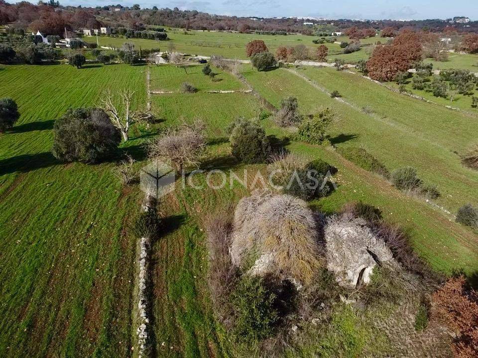 immagine annuncio 10 di 14