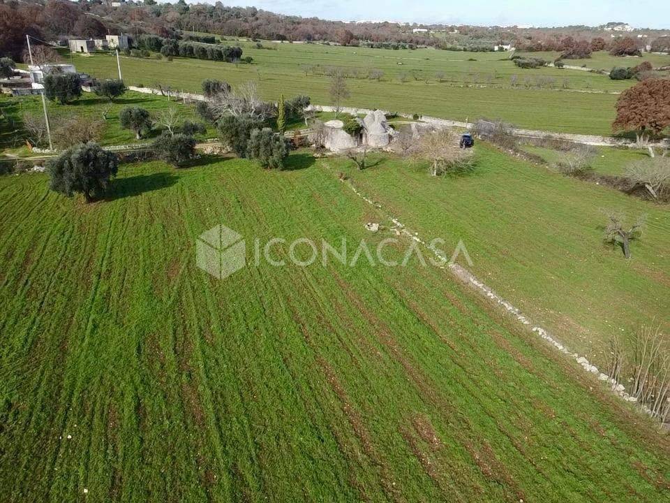 immagine annuncio 12 di 14