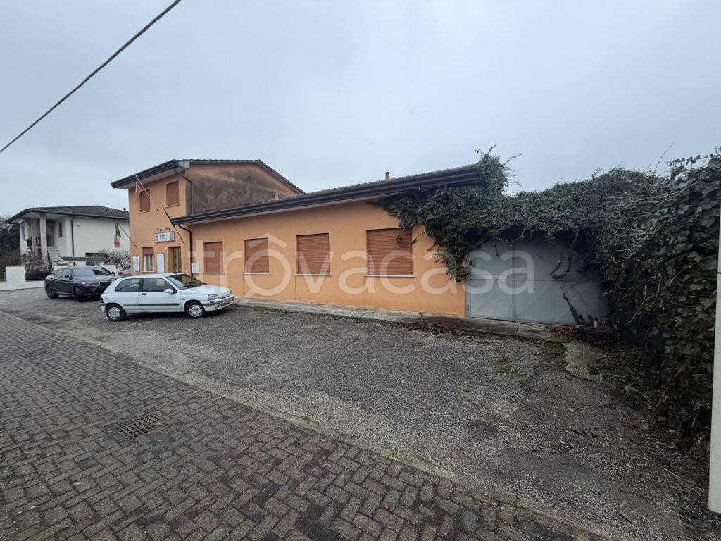 immagine annuncio 1 di 14