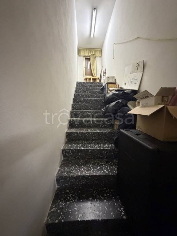 immagine annuncio 11 di 14