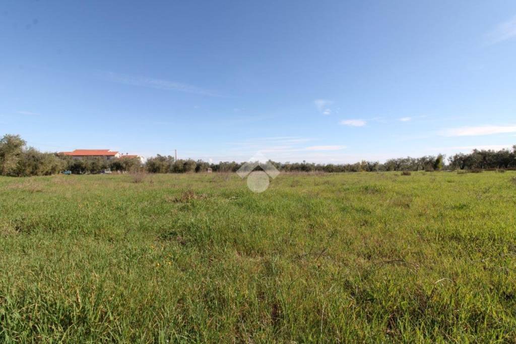 immagine annuncio 8 di 13