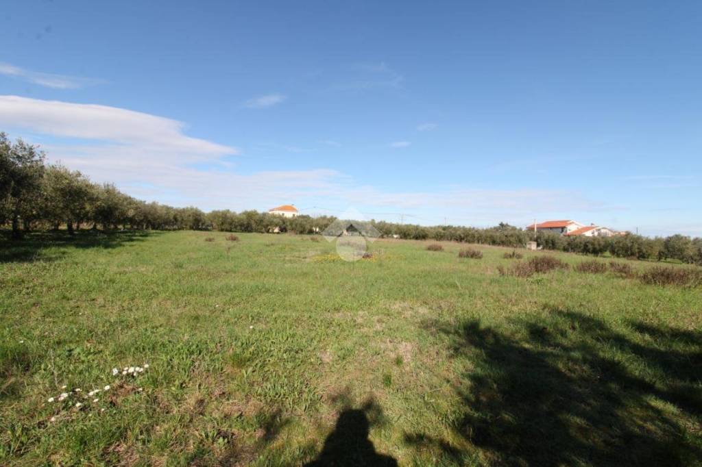 immagine annuncio 11 di 13