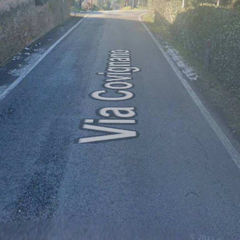 immagine annuncio 3 di 11