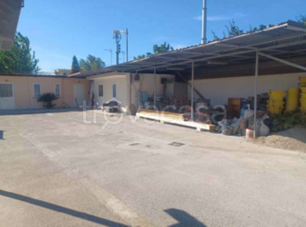 immagine annuncio 4 di 12