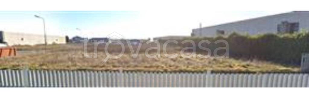 immagine annuncio 11 di 13