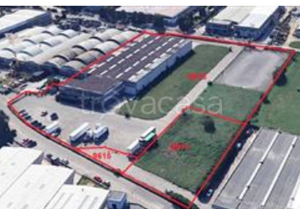 immagine annuncio 12 di 13