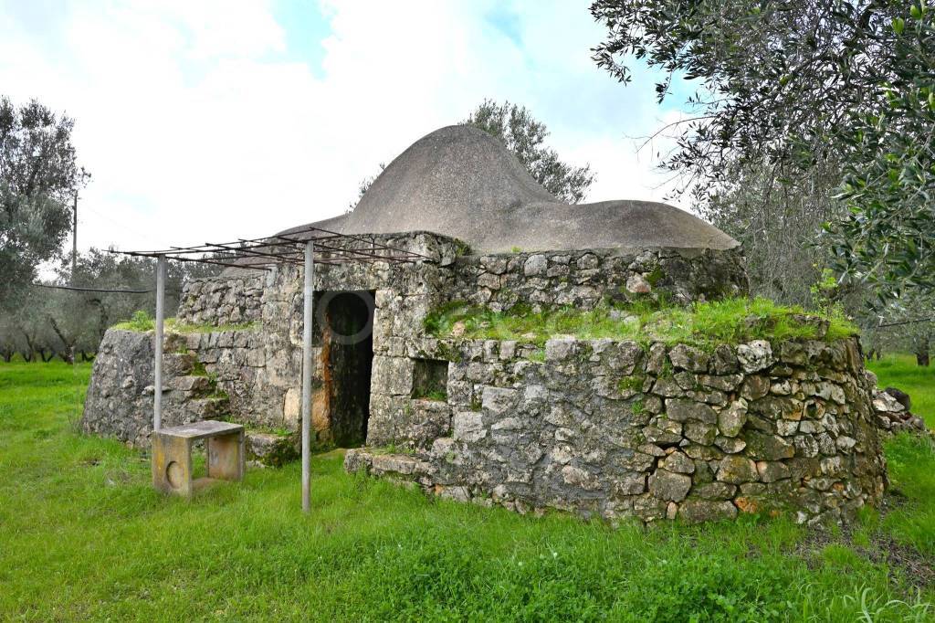 immagine annuncio 4 di 11