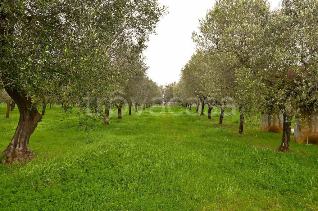 immagine annuncio 8 di 11