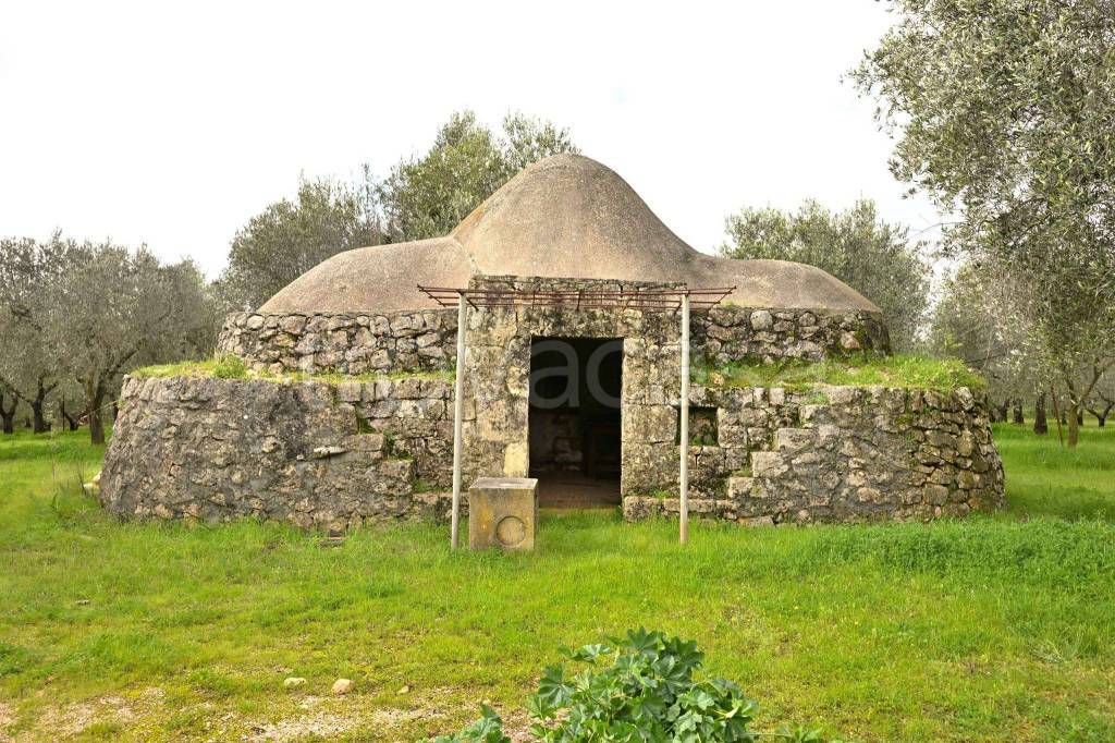 immagine annuncio 3 di 11