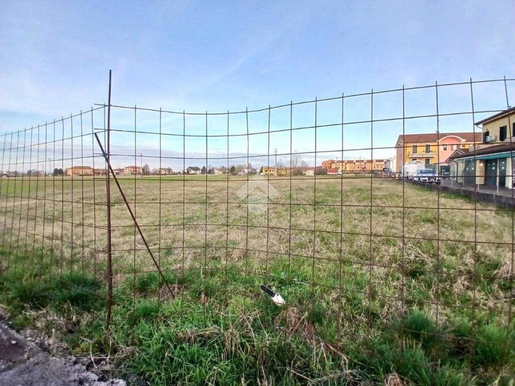 immagine annuncio 1 di 7