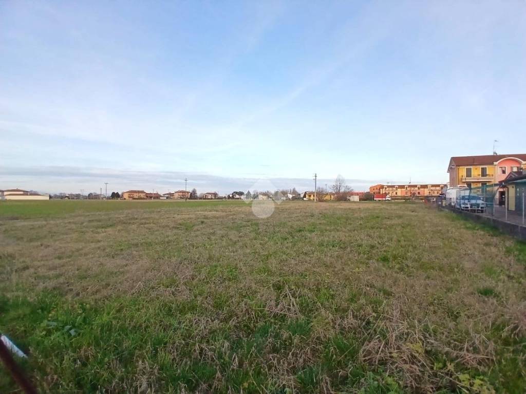 immagine annuncio 3 di 7